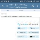 펀디인