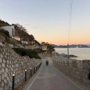 명가약국 | 통영, 거제 여행 1일차(충무시장 약국, 명가 꿀빵, 매미성)