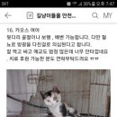 햇살동물병원 이미지