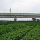 원오농장 이미지