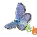 제이원공인중개사사무소 이미지