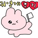 (주)브랜뉴하이몬드 이미지