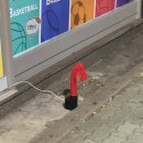 엄지노래연습장 | 일상로그(25.10.20~10.26)