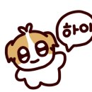 애견랜드 이미지