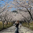 바이주니헤어다일점