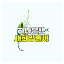 새희망 | 하나은행 새희망홀씨 상담 후기와 승인 과정