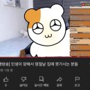 마라탕 샤브샤브 이미지