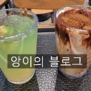 그린애플투어 이미지