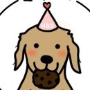 뽀미까까 이미지