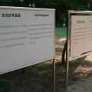 순정목장 이미지