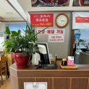 신별미코다리