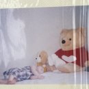 진선미유치원 이미지