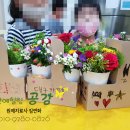 대구효령초등학교 이미지