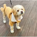 은계동물병원 이미지