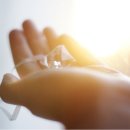 봄, 희망의소리 이미지