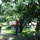 귀재농장 이미지