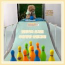 일리키독 이미지