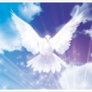 서신목장 이미지