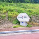 청통골프장 | [24.06월]골프존카운티 청통 골프장 라운딩 후기