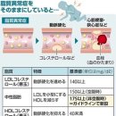 「지질이상증」이라고 지적되면 어떻게 하나？…「LDL」「HDL」「중성지방」의 다름은 이미지