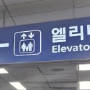 동선1 이미지