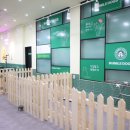 버블버블 애견샵 이미지