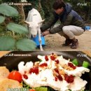 리코타