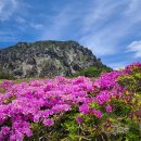 봄여름가을 이미지