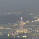 월드타워손세차 네이버블로그