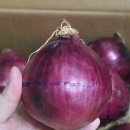 전북아그로 이미지