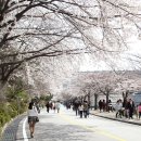 봄 축제의 서막, ‘충주호 봄나들이 한마당행사’ 이미지