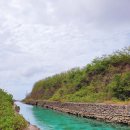 베스트렌트카 이미지