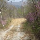 원주굽이길 12코스 뱃재넘이길 이미지