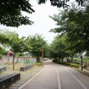 대구선동촌공원3 이미지