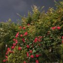 청도자동차공업사 이미지