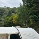 쉼에숲 | 서울 근교 캠핑장 추천, 가평쉼캠핑장 솔직 후기🌳숲뷰에 감성까지!