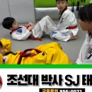 SJ태권도예절관 이미지