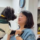 준동물병원 이미지