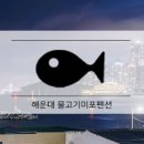 물고기 미포 이미지