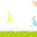 캥거루어린이집 이미지