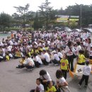 원광대학교사범대학 부속유치원 이미지