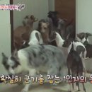 버스표가판점 이미지