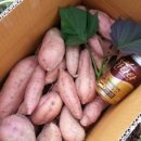 후가막 이미지