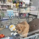 GS25 대의아카데미 이미지