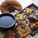 궁한의원 이미지