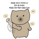 에스티엘(주)노동조합 | 11월_소란한 마음의 죄는 없다(더루스티코, KT롤스터 팬미팅 당첨?!!내노동내산)