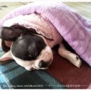 우리인사 이미지