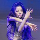 퍼플홀 이미지