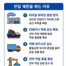 부산신항국제터미널(PNIT) | 부산항 수출컨테이너 터미널 반입제한 기준 및 해결방안