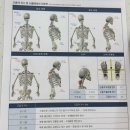 메디포레스트 필라테스 이미지